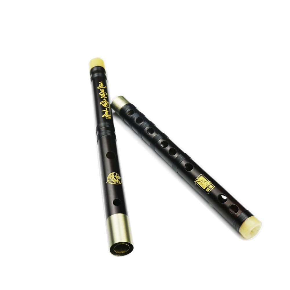 D Key Dizi Professional Rosewood Flute with Free Membrane & Glue & Protector Set Traditional Chinese Instrument (Key of D/Profes